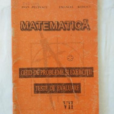 I. Pelteacu E. Badescu - Matematica - Ghid de probleme si exercitii - clasa VII-a - partea 2