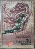 Cele douasprezece frumoase - Elisabeta Preda// ilustratii Eszter Takacs