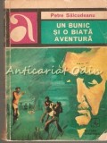 Un bunic si o biata aventura - Petre Salcudeanu, Albatros 1974, Roman