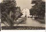 CPIB 15697 CARTE POSTALA - VASILE ROAITA (EFORIE) - VEDERE DIN PARC, RPR