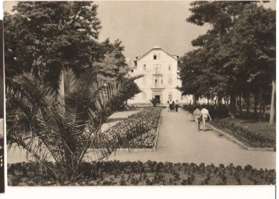 CPIB 15697 CARTE POSTALA - VASILE ROAITA (EFORIE) - VEDERE DIN PARC, RPR foto