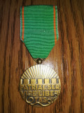 Medalie olandeza ,Patriae servire libertas, voluntar, Europa