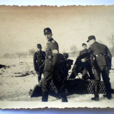 P066 FOTOGRAFIE RAZBOI WWII MILITARI TRUPE RAD REICHSARBEITSDIENST 9/6cm