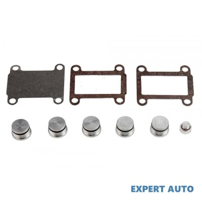 Kit reparatie galerie admisie Fiat CROMA (194) 2005-2016 #1 foto