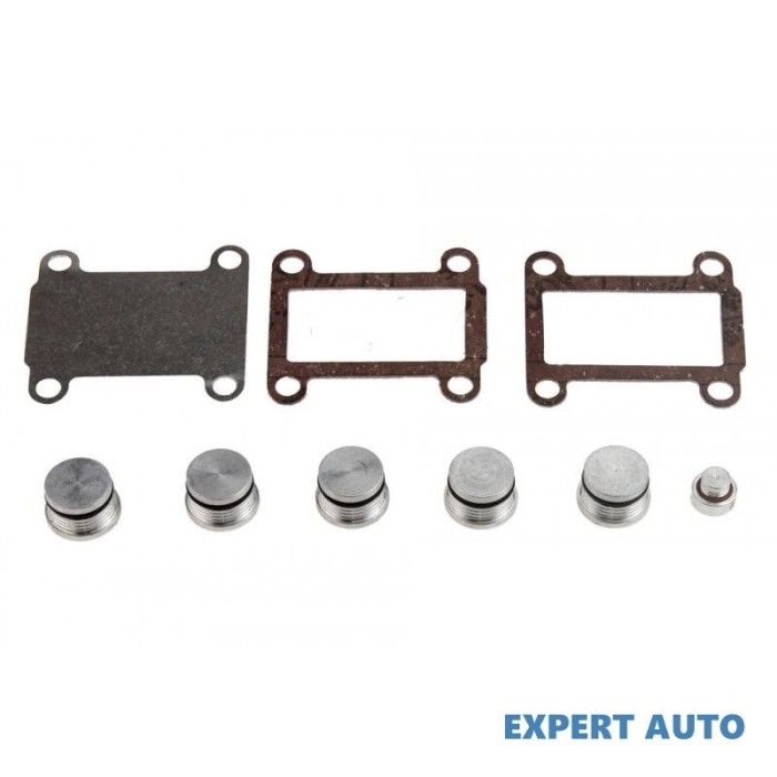 Kit reparatie galerie admisie Fiat CROMA (194) 2005-2016 #1