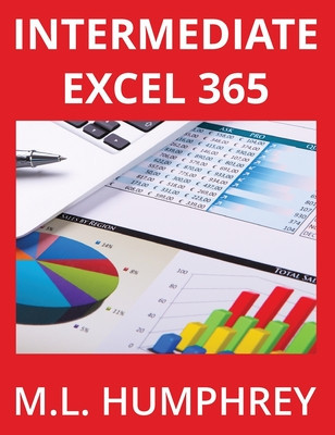 Intermediate Excel 365 foto