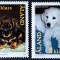ALAND 2001 fauna animale caini de rasa, SERIE 2V nestampilata