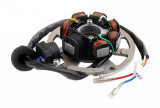 Magnetou Stator+Rotor+Platou 2 T Moped, ATV, Scuter Minarelli, Aprilia, Malaguti, Revo