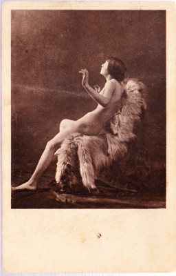 AMS - ILUSTRATA/VEDERE NUD, NECIRCULATA foto