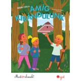 Am&iacute;g kir&aacute;ndulunk - G&eacute;vai Csilla