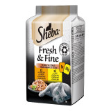 Sheba Fresh &amp;amp; Fine capsule pentru pisici, pui și curcan 6 x 50 g