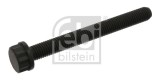 FEBI BILSTEIN 09798 surub chiulasa