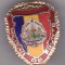 bnk ins Insigna Militar de frunte - varianta mica