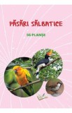 Planse: Pasari salbatice