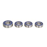Kit Rulmenti roata Kawasaki KDX175 KL600 KLR250 KX125 1980-1986 All Balls 25-1055