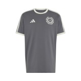 Mercedes AMG Petronas tricou de bărbați Silver Arrows Icon grey F1 Team 2026 - L