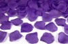 Set 100 Petale Trandafir, Violet