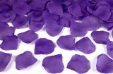 Set 100 Petale Trandafir, Violet