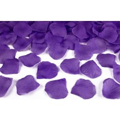 Set 100 Petale Trandafir, Violet