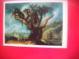 HOPCT 23316 COPAC MARE - JACOB VAN GEEL 1584-1638 --MUZEE RUSIA - CP PICTURA --NECIRCULATA