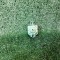 Presostat masina de spalat Indesit Innex /C54