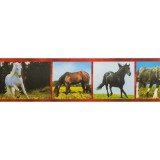 Bordura decorativa Zoo 546