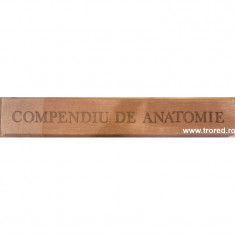 Compendiu de anatomie foto