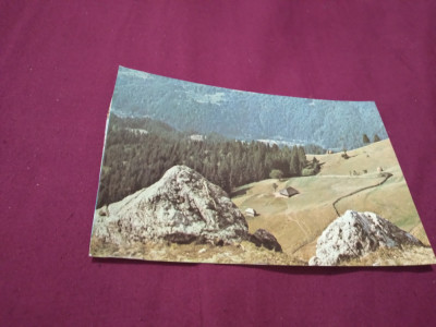 CARTE POSTALA - VOINEASA NECIRCULATA foto