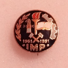 Insigna minerit - Institutul Minier PETROSANI (1961-1981)