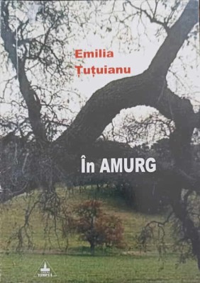 IN AMURG-EMILIA TUTUIANU-173569 foto