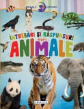 Primele lecturi: Intrebari si raspunsuri despre animale PlayLearn Toys