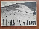 Fotografie Muntii Bucegi, Dihamul, Sec. XX, 14x9 cm, Alb-Negru - Carte Arta/Fotografie