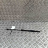 Amortizor Haion Dreapta Audi Q7 4M 2016-Prezent 4M0827552A Auger Trucktec Tridon Garantie 12 Luni