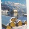FA7 -Carte Postala - AUSTRIA - Traunsee mit Traunstein, circulata 1981