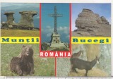 bnk cp Muntii Bucegi - Vedere - necirculata