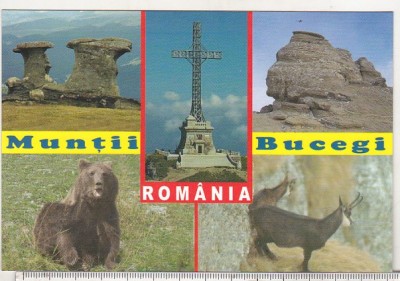 bnk cp Muntii Bucegi - Vedere - necirculata foto