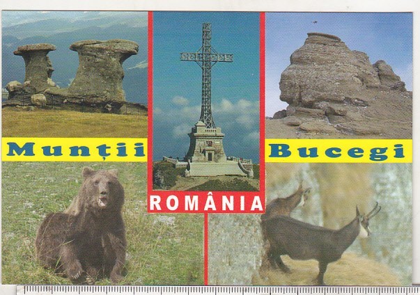 bnk cp Muntii Bucegi - Vedere - necirculata