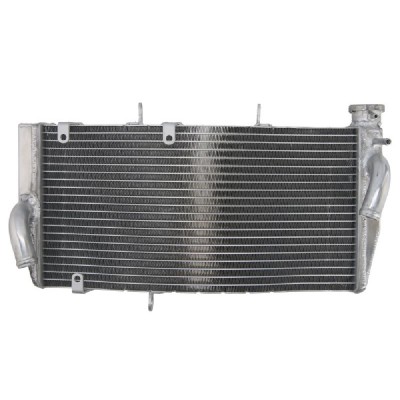 RADIATOR HONDA CBR 900 2002 2003 foto