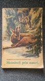 HOINARELI PRIN NATURA - Demostene Botez, Ionel Pop