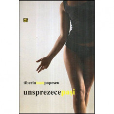 Tiberiu Ioan Popescu - Unsprezece pasi - roman - 117055