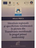 Mihaela Proca - Identitate regionala si specificitate romaneasca in pictura din Transilvania meridionala in pragul primei modernitati (Editia: 2013)
