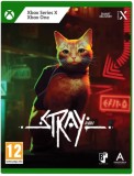 Stray XBOX SERIES X