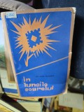 &Icirc;n luncile soarelui - Folclor poetic din sudul Transilvaniei Ion Sasu Duță