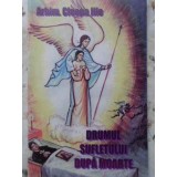 DRUMUL SUFLETULUI DUPA MOARTE-ARHIMANDRIT CLEOPA ILIE-337058
