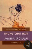 Agonia erosului si alte eseuri (pdf) - LibHumanitas