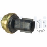 DELPHI TS10458 senzor,temperatura lichid de racire