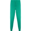 Pantaloni medicali Unisex Roly FIBER Culoare Verde Laborator Marime M