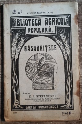Rasadnitele - D. I. Stefanescu foto