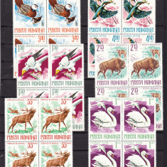 ROMANIA 1977 LP 932 ANIMALE OCROTITE IN ROMANIA BLOCURI DE 4 TIMBRE MNH