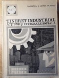 TINERET INDUSTRIAL. ACTIUNE SI INTEGRARE SOCIALA-CERCETARE SOCIOLOGICA CONDUSA DE OVIDIU BADINA-234945